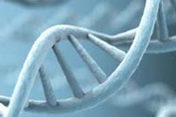 免费ddos在线攻击测试网站